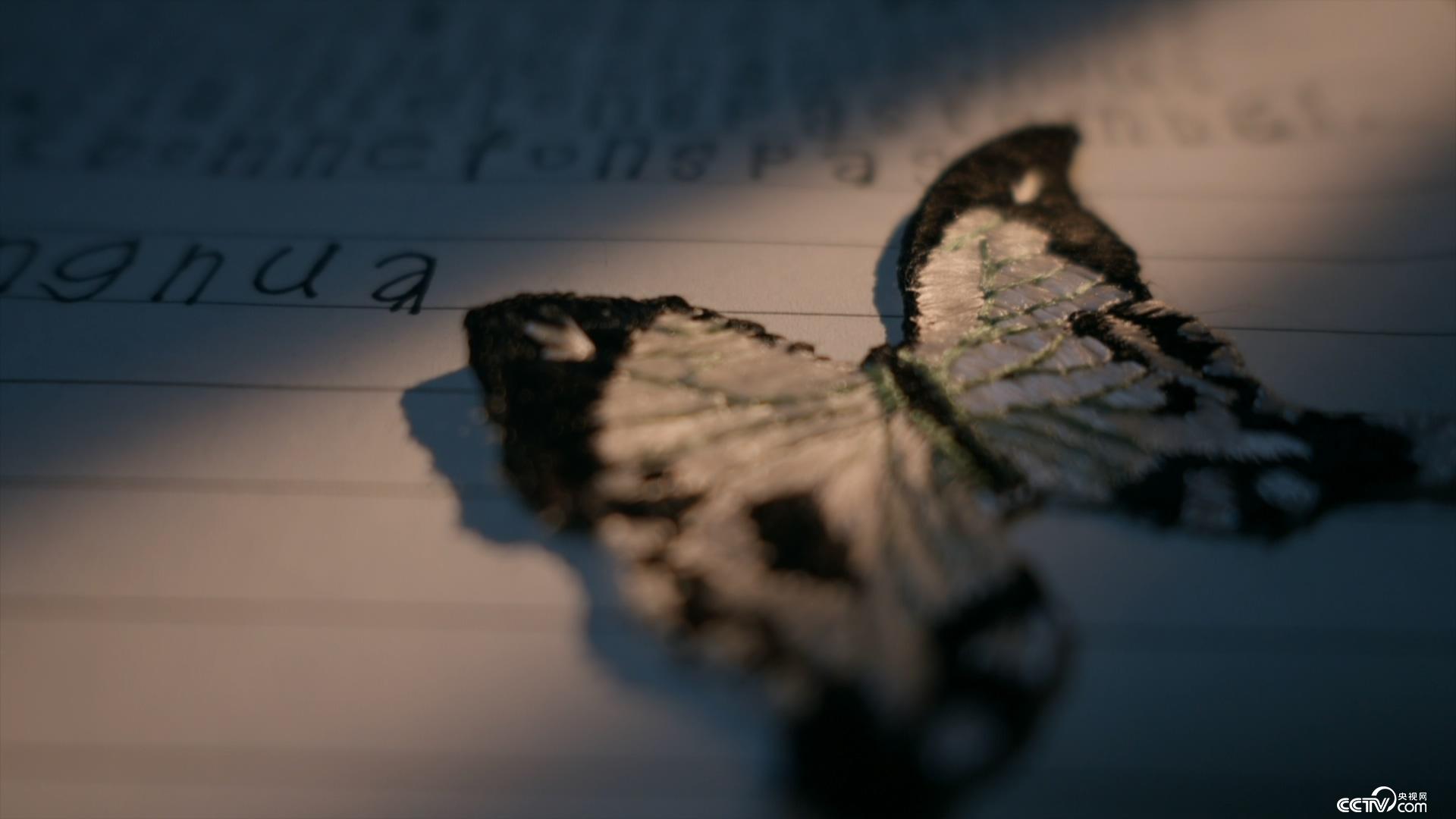 全息游戏：恋爱世界