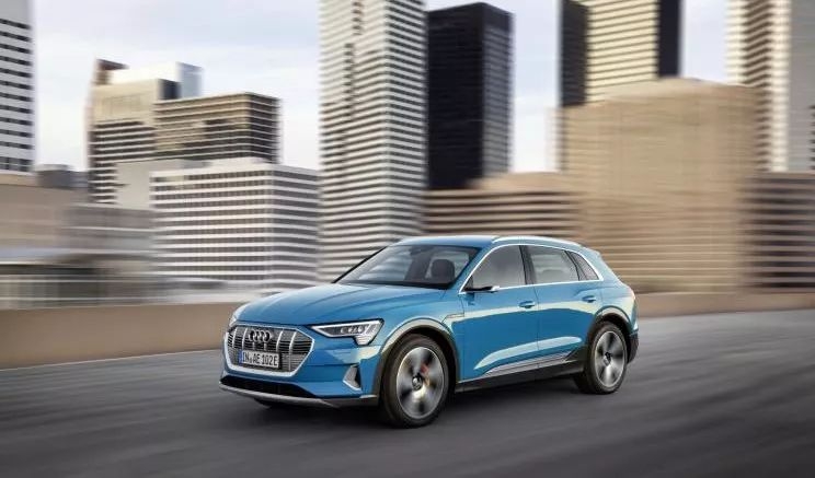 克莱拉与熊的秘密