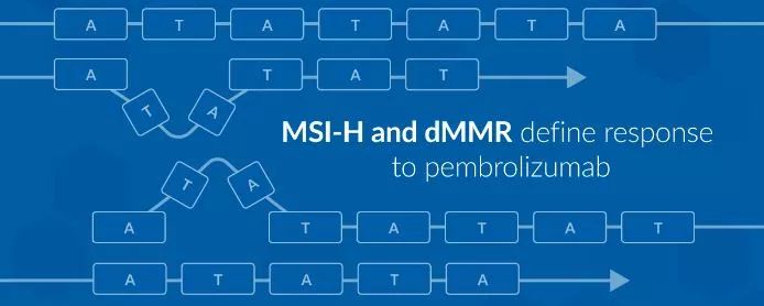 兰娅传奇（国语版）