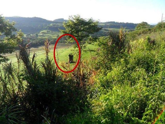 兰娅传奇(国语版)