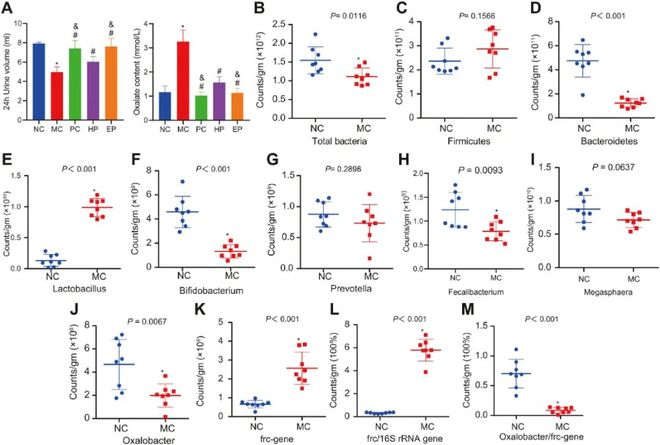 再见阿龙 普通话版