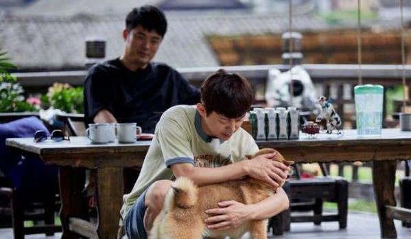 克莉丝堤：杀人网站