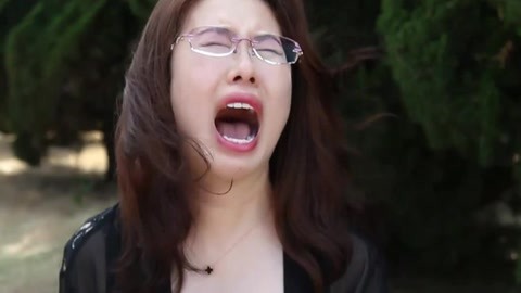 印度刺客：萨达尔·辛格