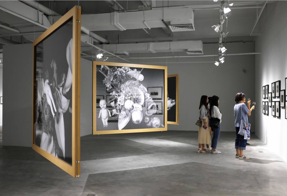 全城戒备（国语版）