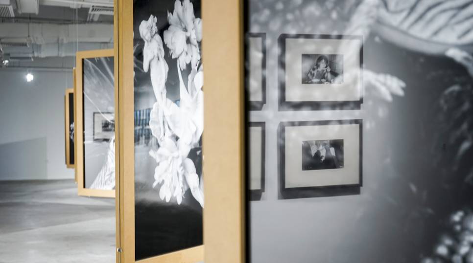 全城戒备（国语版）