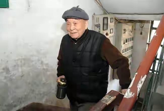 公鸡母鸡拖拉机