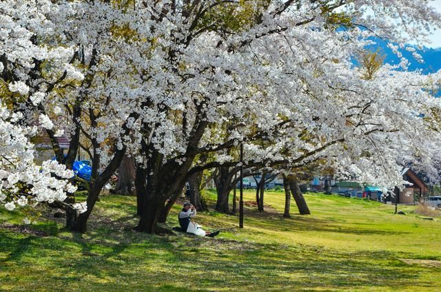 关于阿斯特丽德