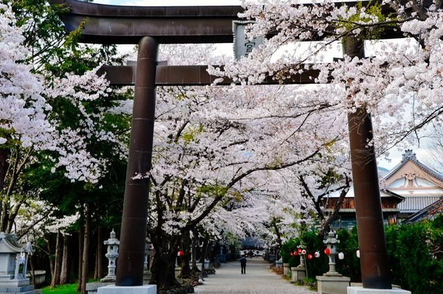 关于阿斯特丽德