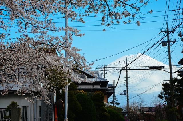 关于阿斯特丽德