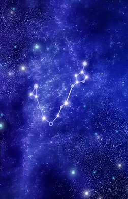 哈维的最后机会