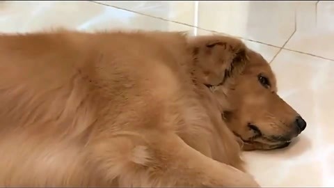 八万罪人 八萬罪人