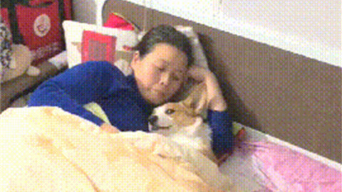 名侦探柯南：水平线上的阴谋