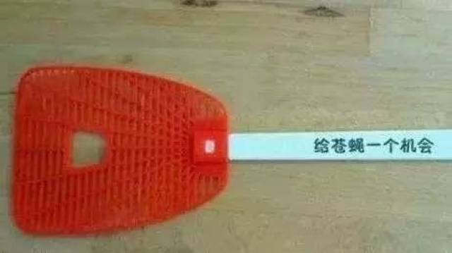 另一个波琳家的女孩