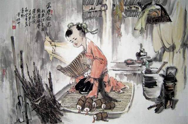 克莱拉与熊的秘密