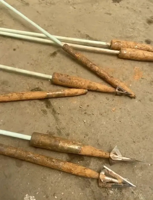 凯利帮的真实历史