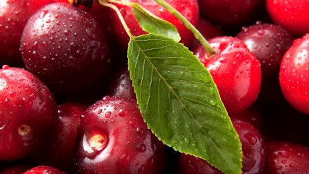 冰雪奇缘2（粤语版）