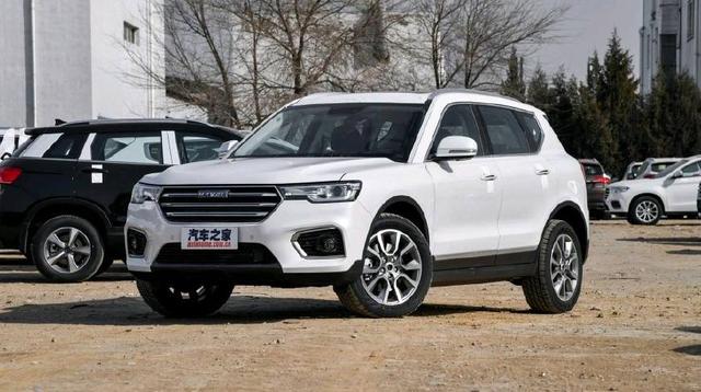 史酷比！毛茸茸的对决