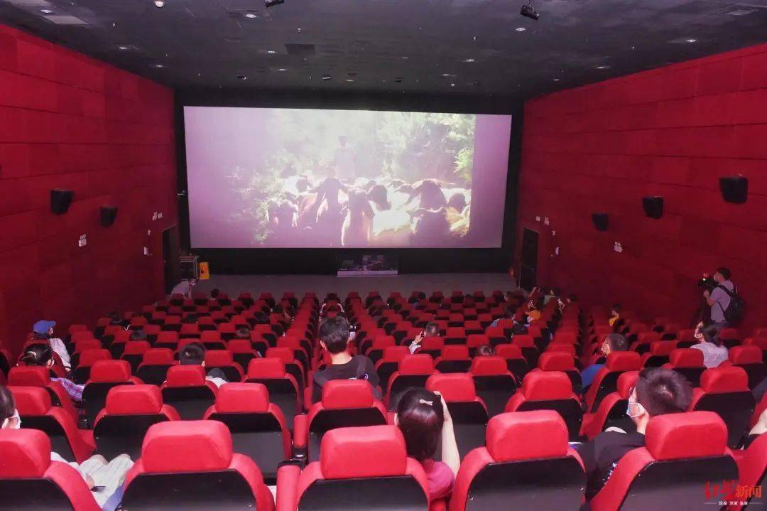 公鸡母鸡拖拉机