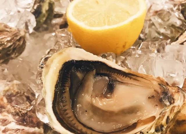 去年在马里昂巴德