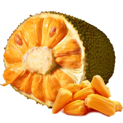 八月桂花遍地开