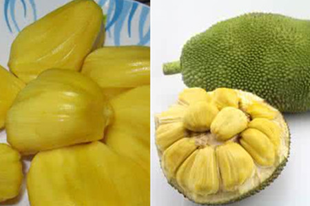 在世界中心呼唤爱