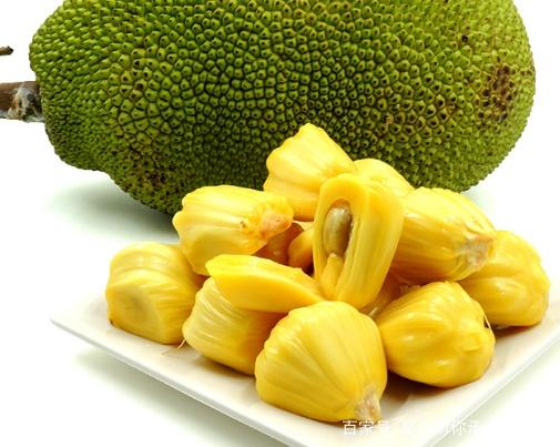 养鬼吃人6：死亡代码