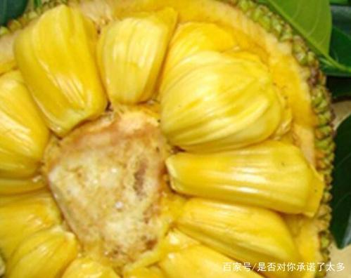 养鬼吃人6：死亡代码