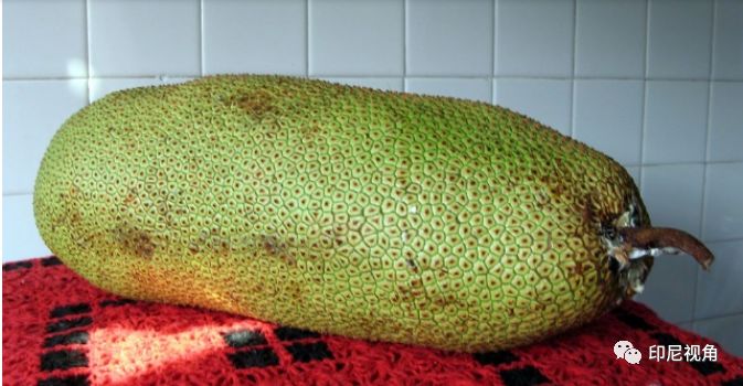 哈利·波特与凤凰社(原声版)